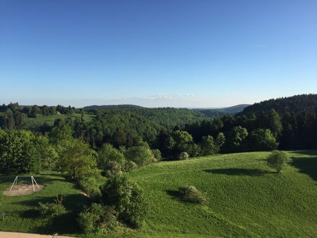 Ferienwohnung Weitblick 274 Hohegeiß Dış mekan fotoğraf